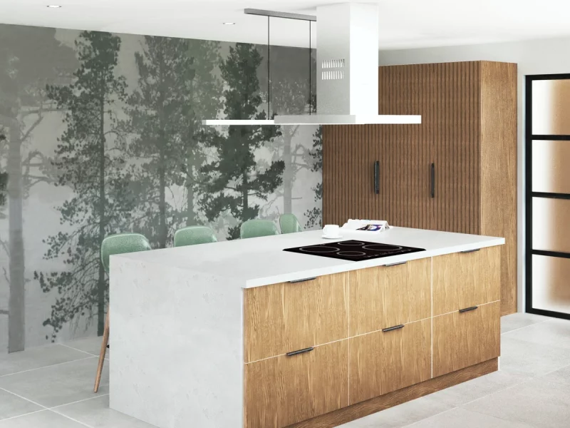 Modern Kitchen 1